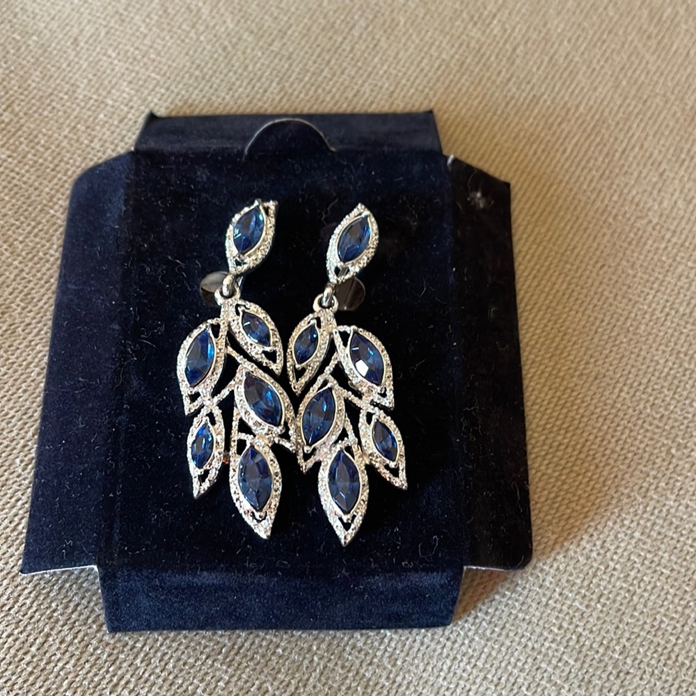 Long earrings silver color and navy stones